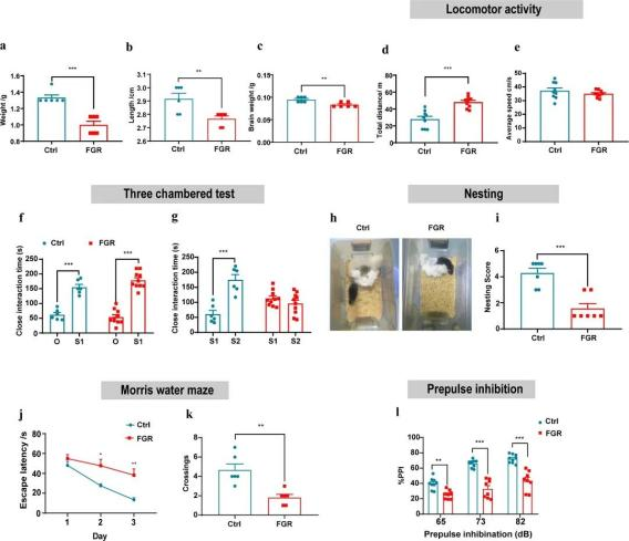 精神分裂症行为学
