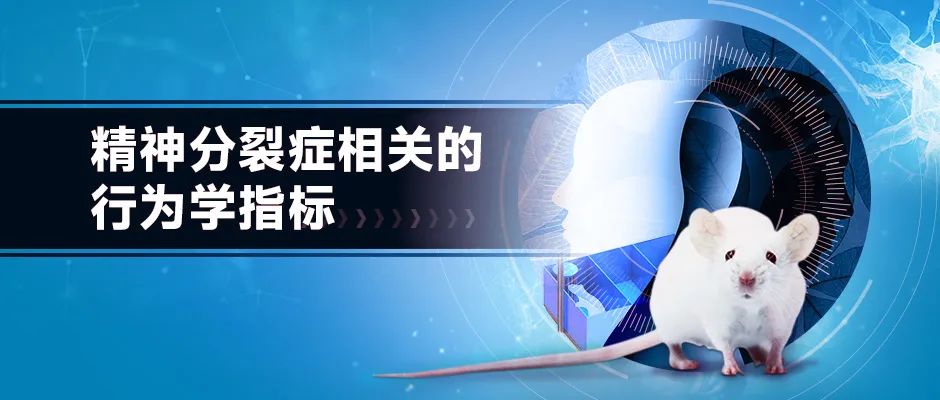 精神分裂症行为学