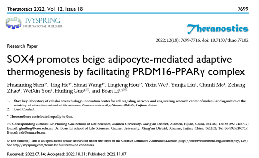 米色脂肪如何成为对抗肥胖的潜在新靶点 米色脂肪如何成为对抗肥胖的潜在新靶点