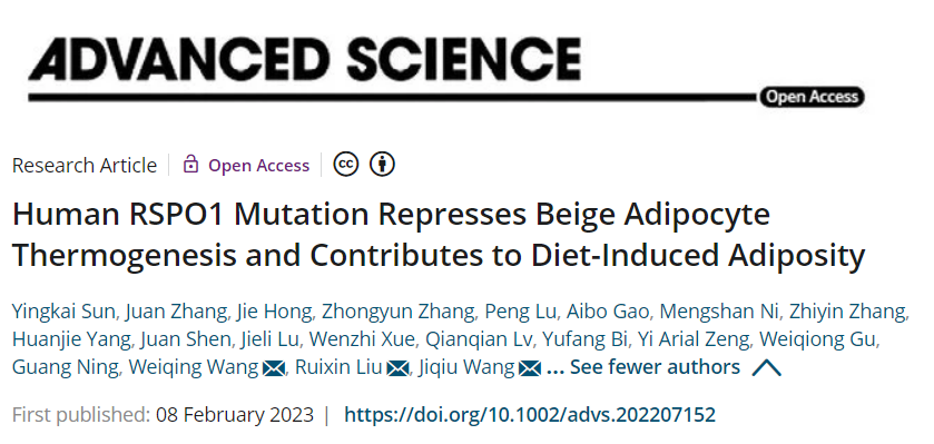 hRSPO1转基因小鼠 hRSPO1转基因小鼠
