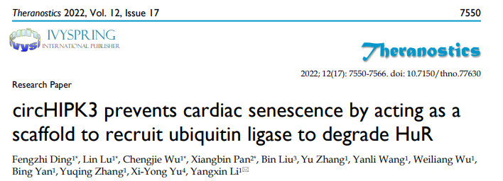 心肌再生修复新机制