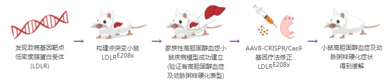 基因治疗 基因治疗