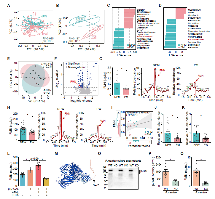 脓毒症易感机制 脓毒症易感机制