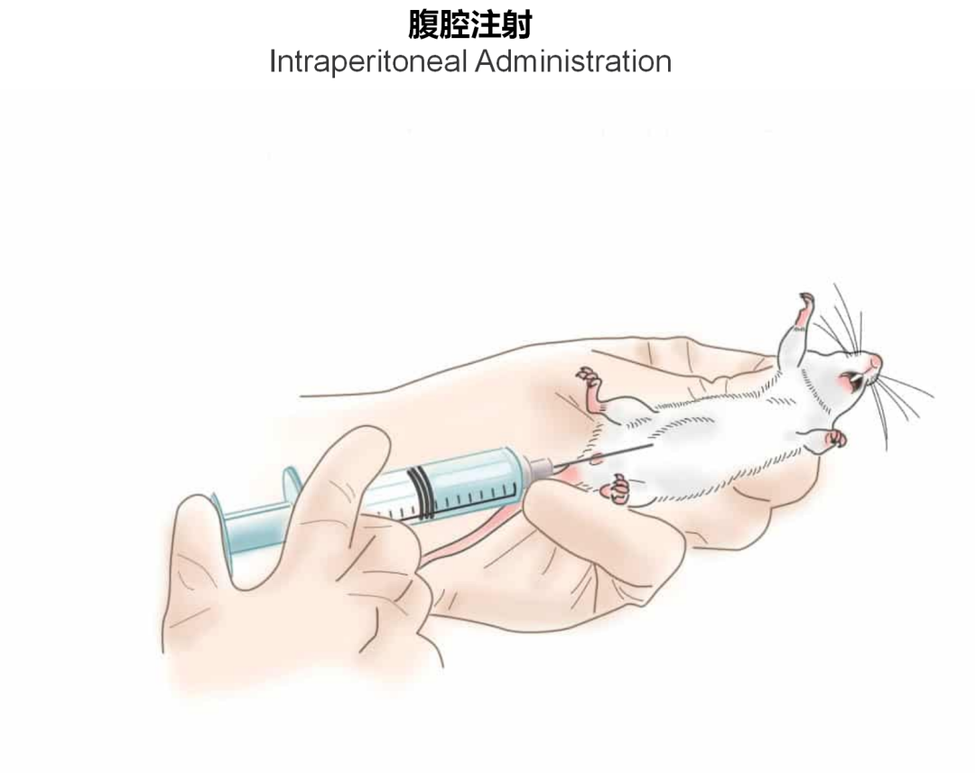 神经疾病CRO服务