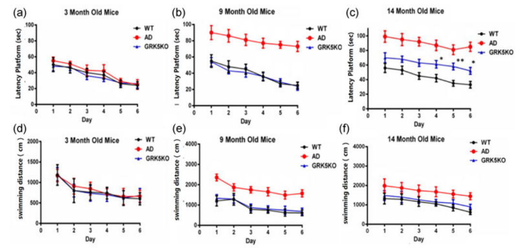水迷宫行为实验