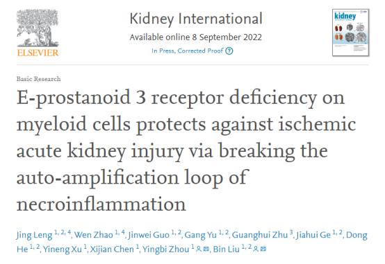 急性肾损伤发病机制
