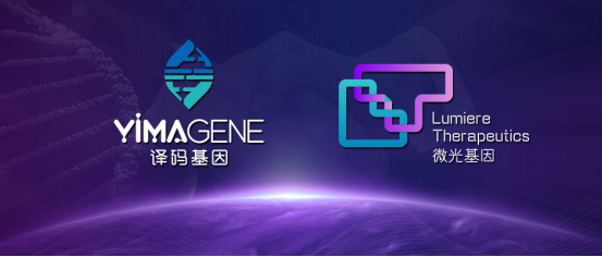 译码基因与微光基因达成战略合作