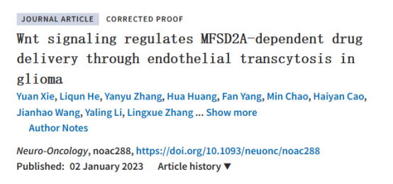 胶质瘤药物递送中的分子机制