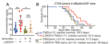胶质瘤药物递送中的分子机制