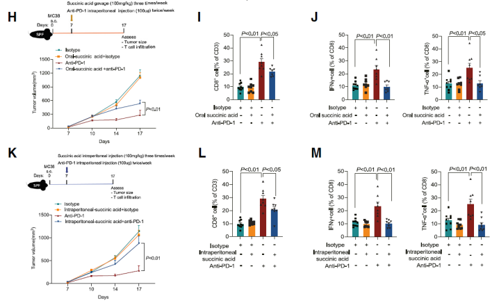 直肠癌免疫治疗抵抗