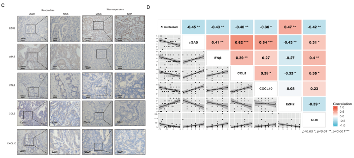 直肠癌免疫治疗抵抗