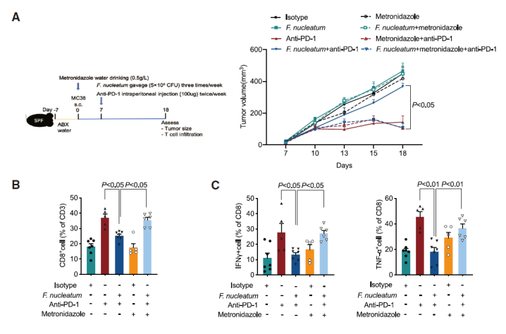 直肠癌免疫治疗抵抗