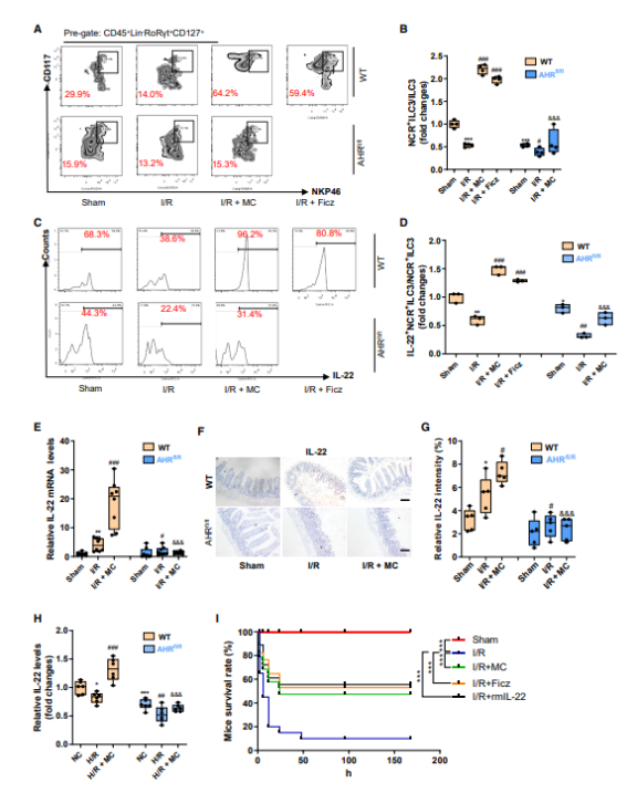 先天性全身性脂肪萎缩症