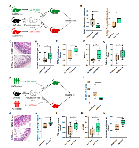 先天性全身性脂肪萎缩症