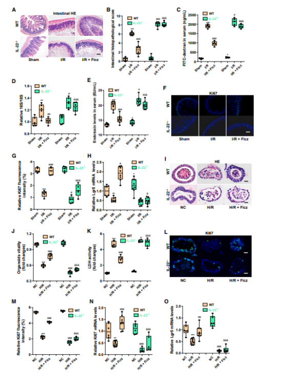 先天性全身性脂肪萎缩症