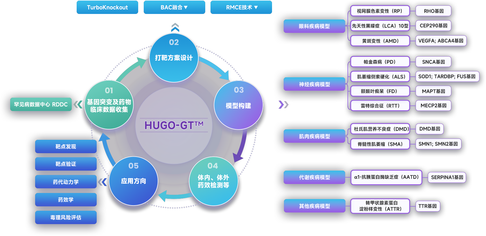 讲讲肌营养不良症“四大天王”相关的疾病研究