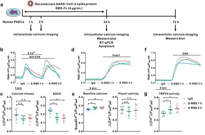 16895859431424651.jpg 16895859431424651.jpg