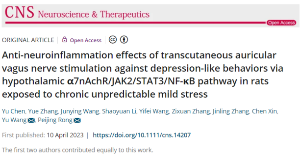 中医科学院团队解析经皮耳迷走神经刺激抗抑郁的分子机制 中医科学院团队解析经皮耳迷走神经刺激抗抑郁的分子机制