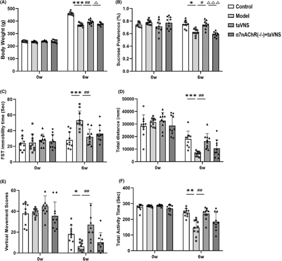 中医科学院团队解析经皮耳迷走神经刺激抗抑郁的分子机制 中医科学院团队解析经皮耳迷走神经刺激抗抑郁的分子机制