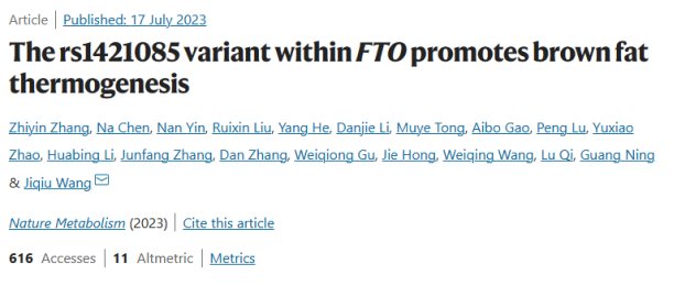 FTO基因变异rs1421085 FTO基因变异rs1421085