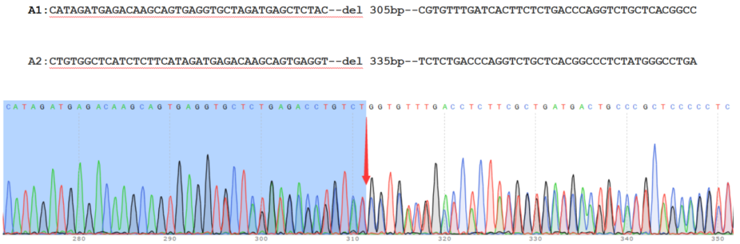 iPSC基因编辑 iPSC基因编辑