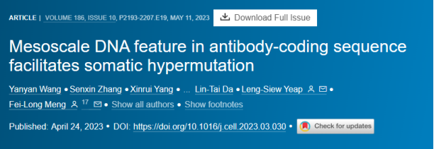 DNA柔性在抗体基因超突变中的作用 DNA柔性在抗体基因超突变中的作用
