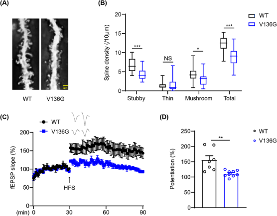 袁增强研究团队首次证实抑郁症可增加阿尔茨海默症风险