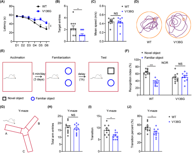 袁增强研究团队首次证实抑郁症可增加阿尔茨海默症风险
