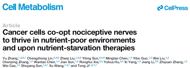 癌细胞借助神经来对抗饥饿疗法