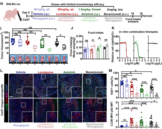 癌细胞借助神经来对抗饥饿疗法