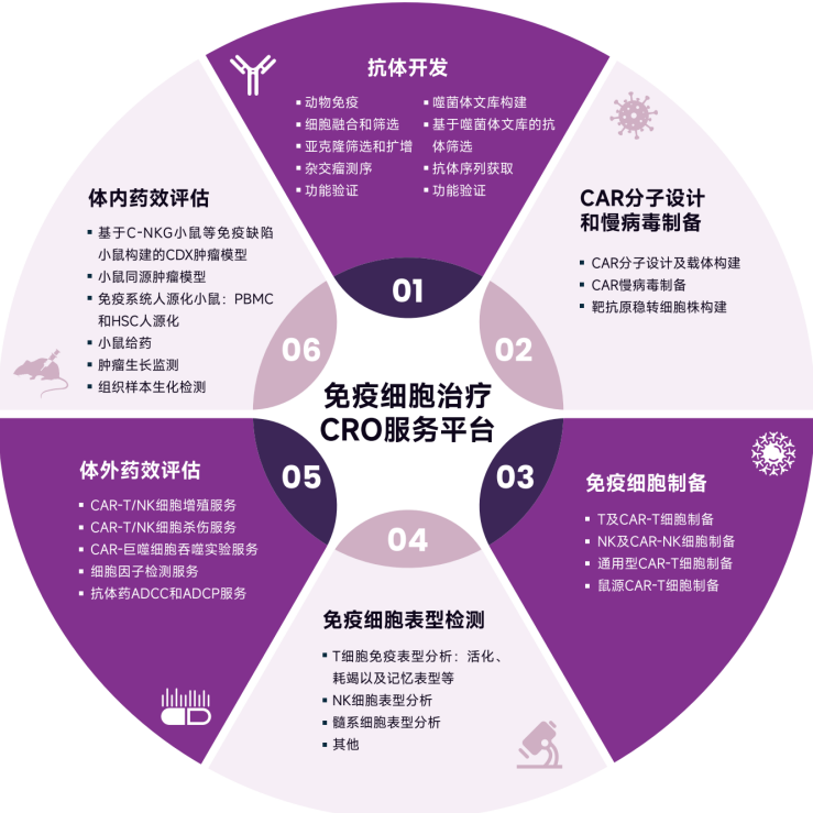 2023年诺贝尔生理学或医学奖揭晓