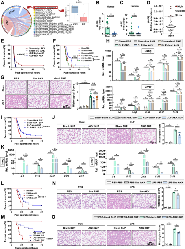 新型三肽对致死性脓毒症的保护作用