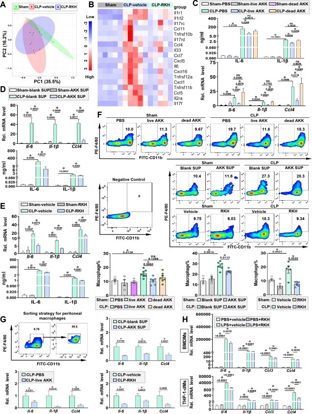 新型三肽对致死性脓毒症的保护作用 新型三肽对致死性脓毒症的保护作用