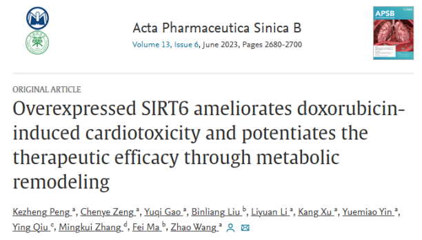 蒽环类药物的心脏毒性