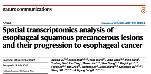 食管鳞状上皮癌前病变