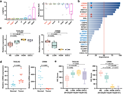 食管鳞状上皮癌前病变