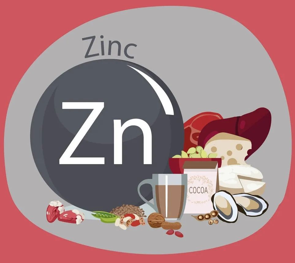 Nature子刊用科学解释产热脂肪细胞调控