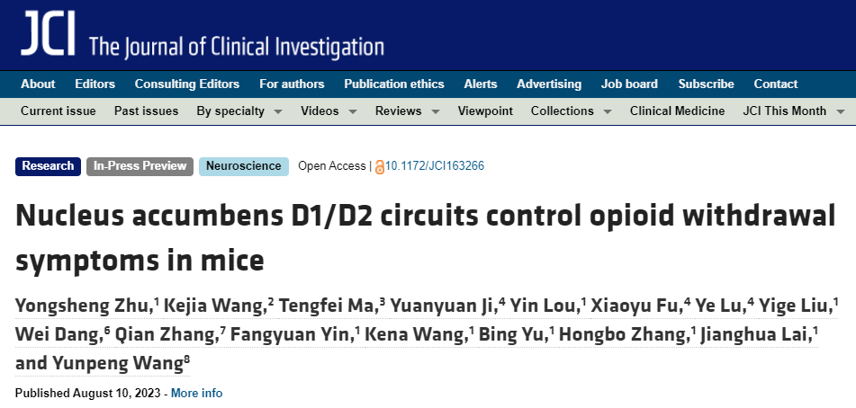Kappa阿片受体控制吗啡戒断症状及抑郁行为的机制