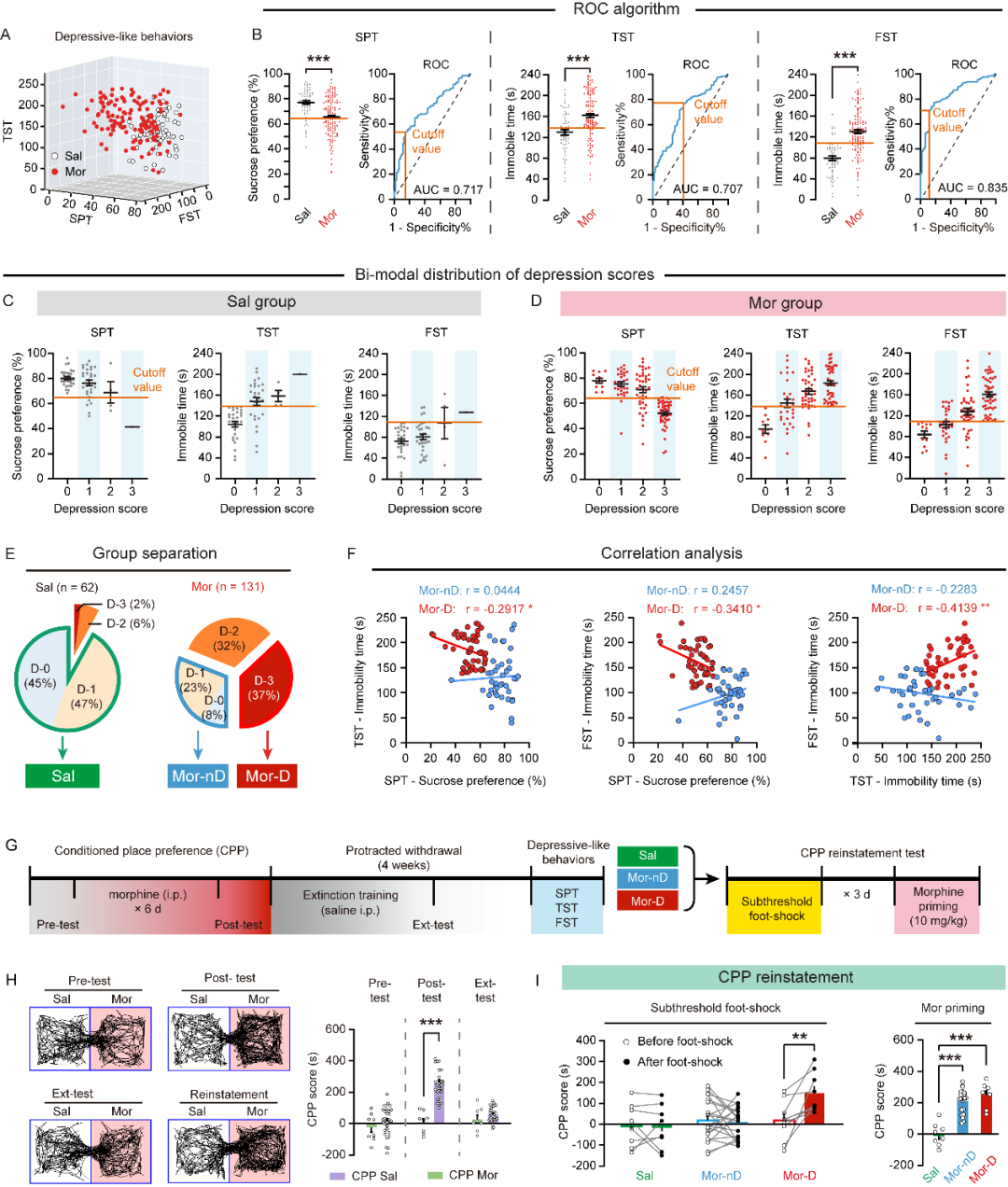 Kappa阿片受体控制吗啡戒断症状及抑郁行为的机制