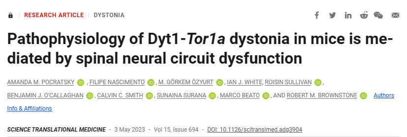 英国学者构建新模型来探索肌张力障碍的病理生理学