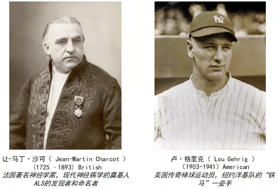 图2. ALS的症状[1]