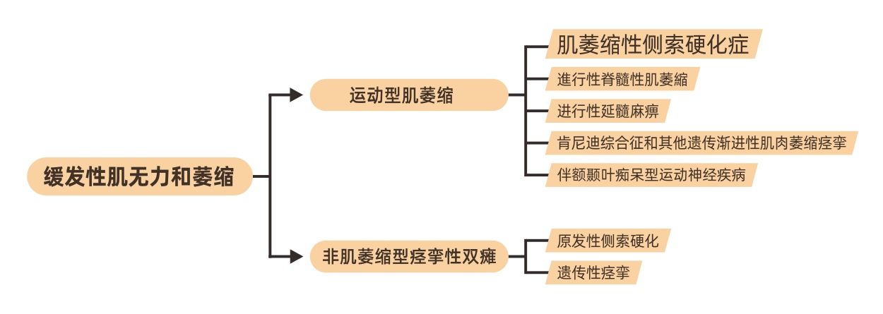 图6. 缓发性肌无力萎缩