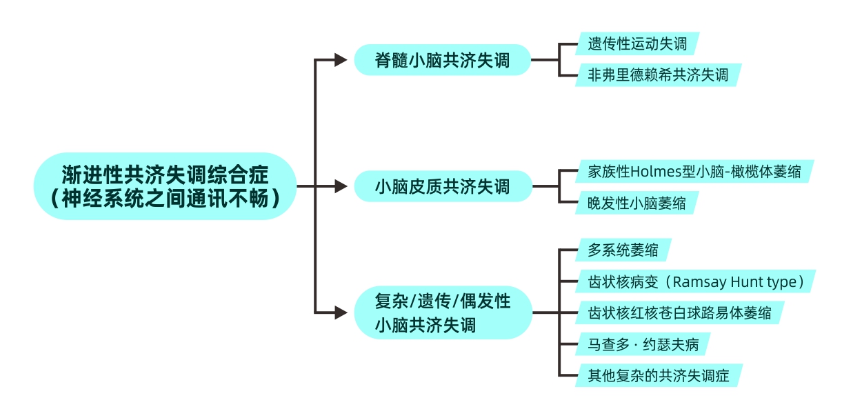 图8. 渐进性共济失调综合症
