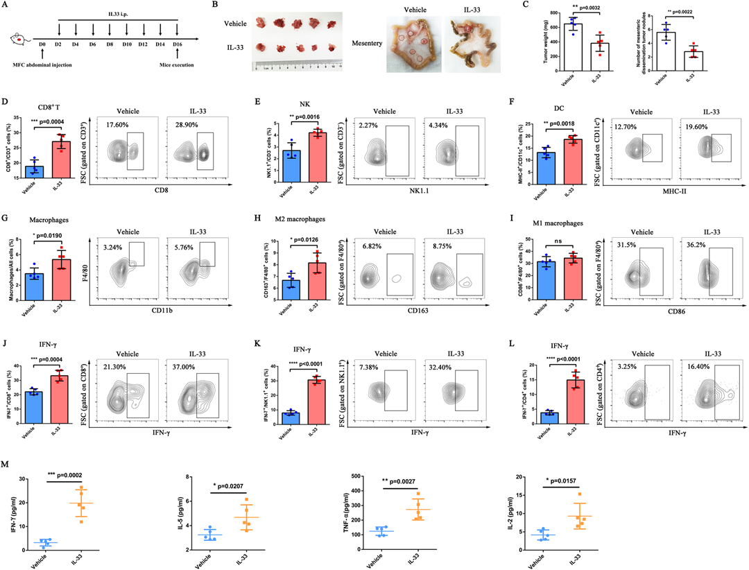 胃癌腹膜转移的治疗新思路