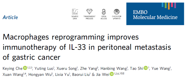 胃癌腹膜转移的治疗新思路