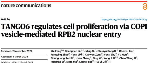 李礼/罗凌飞组合作揭示Tango6调控造血干细胞扩增的分子机制