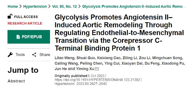 广州医科大学发现主动脉重构调控新机制