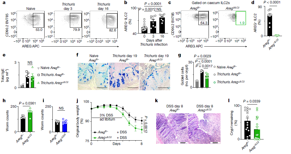 ILC2在对抗寄生虫感染和组织保护方面发挥非冗余作用