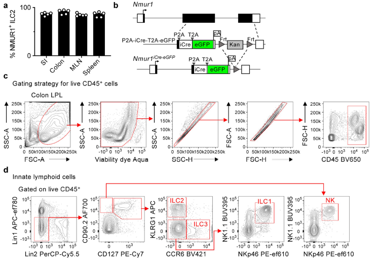 ILC2在对抗寄生虫感染和组织保护方面发挥非冗余作用
