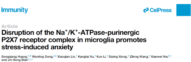 南方科技大学卞劲松团队揭示焦虑症发生的新机制和治疗新靶点